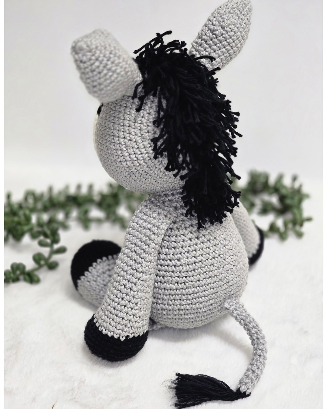 Diego Donkey - Made to Order