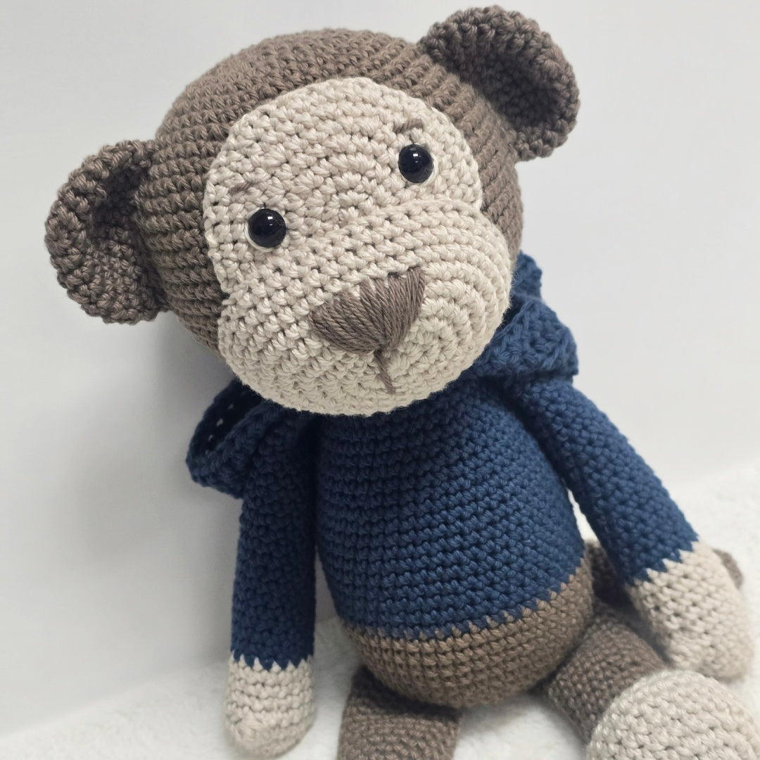 Monkey with Hoodie